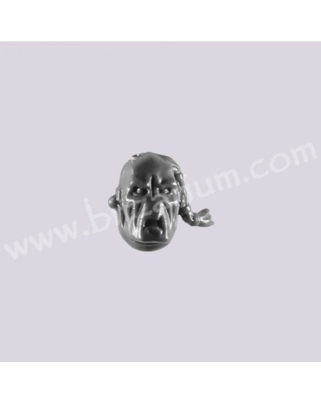 Head 3 - Fire Warriors