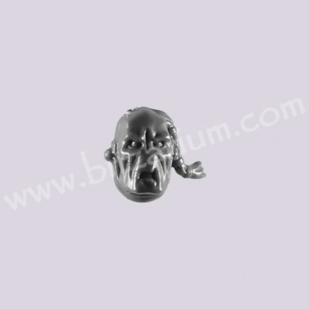 Head 3 - Fire Warriors