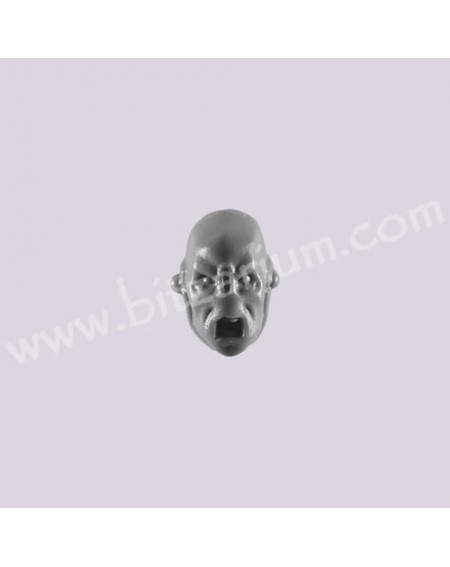 Head 6 - Fire Warriors