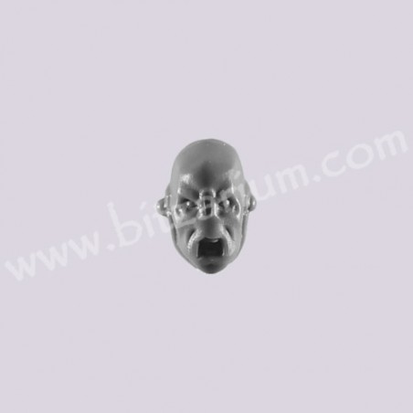 Head 6 - Fire Warriors