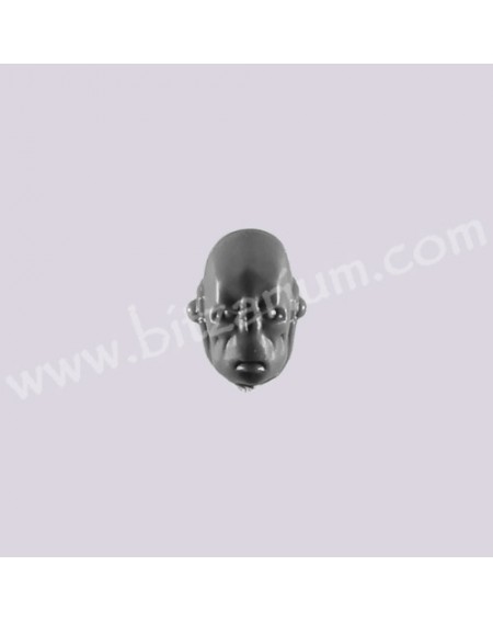 Head 8 - Fire Warriors