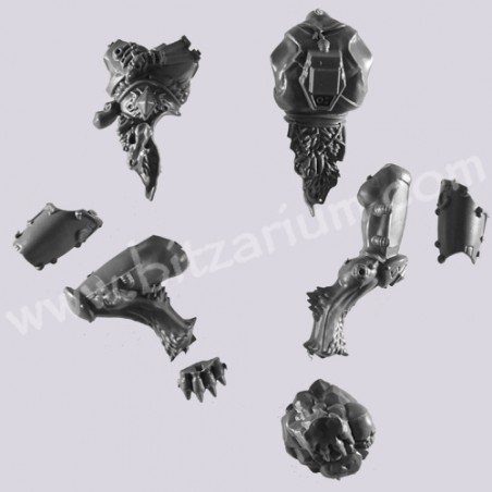 Body 1 - Wulfen