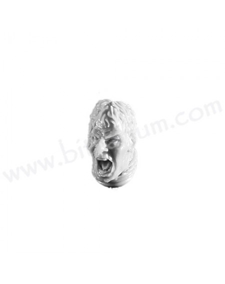 Head 1 - Phalanx Warder