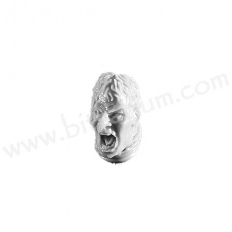 Head 1 - Phalanx Warder