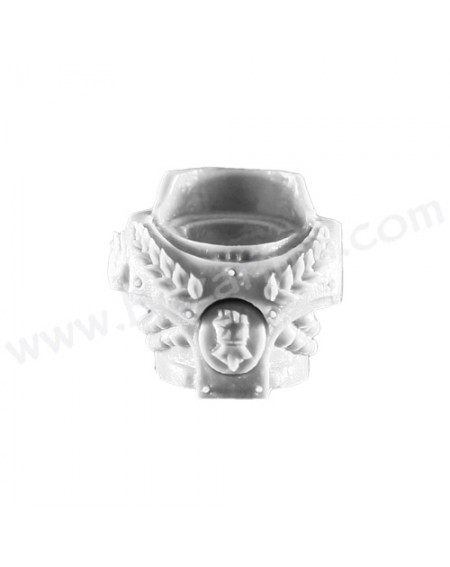 Torse 5 - Warder Phalanx