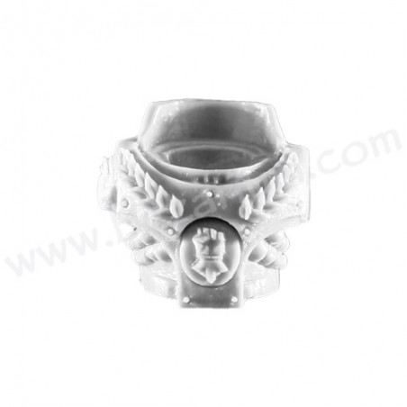 Torso 5 - Phalanx Warder