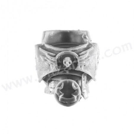 Torse 1 - Dark Angels