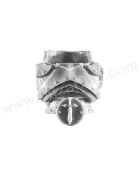Torse 4 - Dark Angels