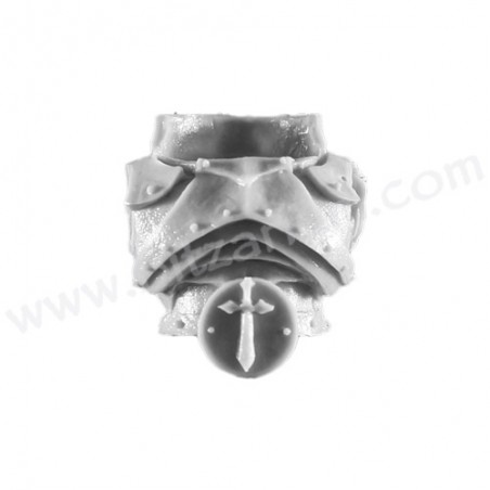 Torso 4 - Dark Angels