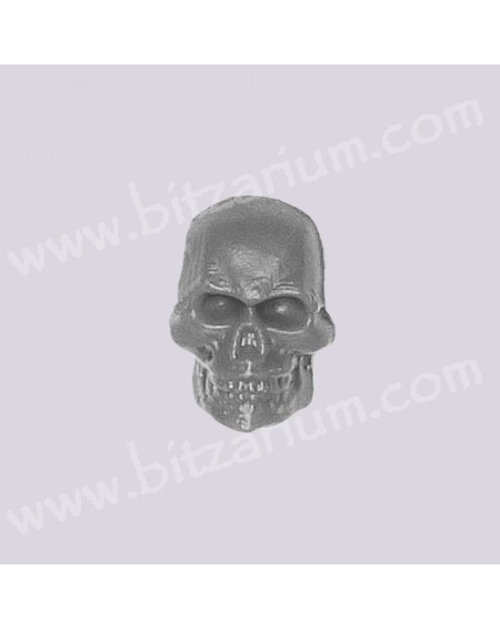 Skull