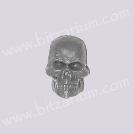 Skull - Freeguild Hangunners