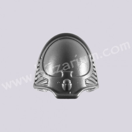 Shoulder Pad D - Rubric Marines