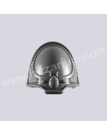 Shoulder Pad K - Rubric Marines