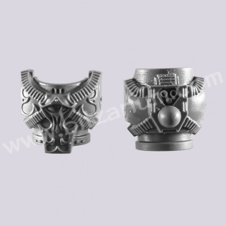 Torse H - Rubric Marines