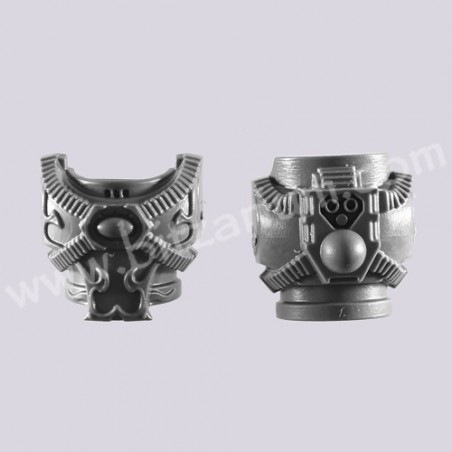 Torso F - Rubric Marines