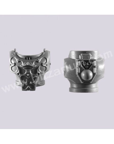 Torso D - Rubric Marines