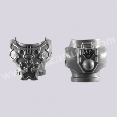 Torse C - Rubric Marines