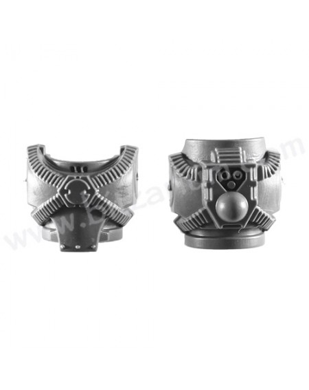 Torso P - Legion MK4