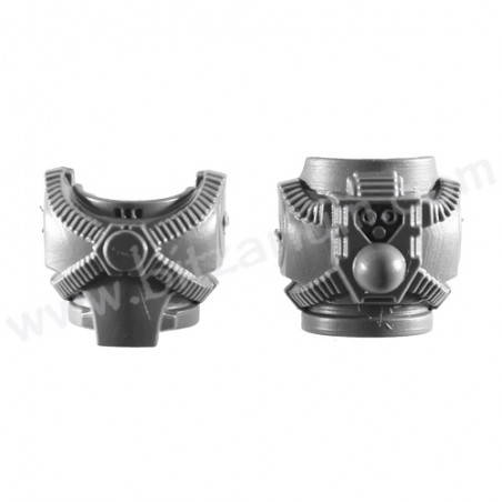 Torse Q - Légion MK4