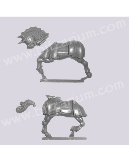 Horse 2