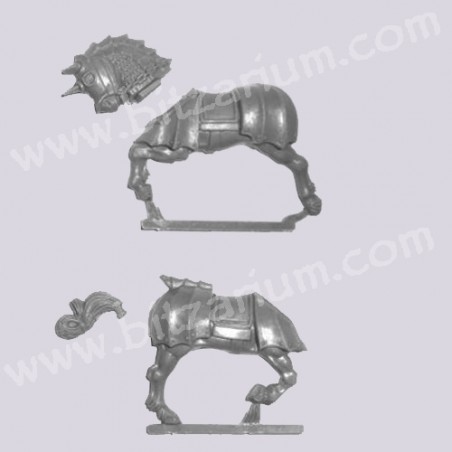 Horse 2