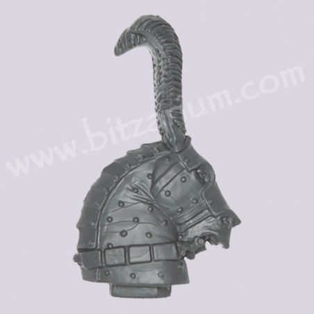 Champion's Horse Head