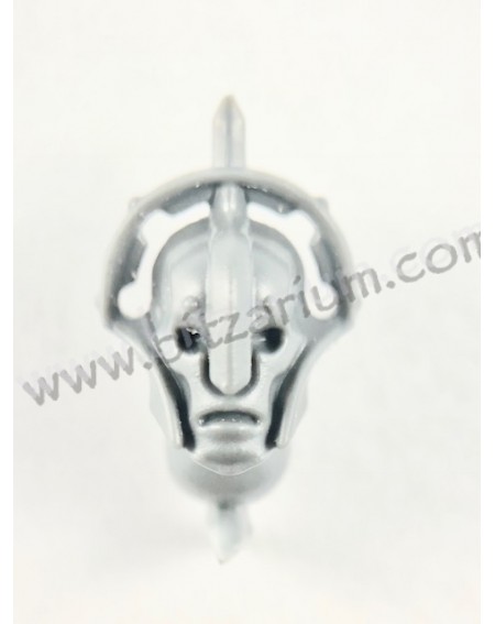 Head 5 - Protector