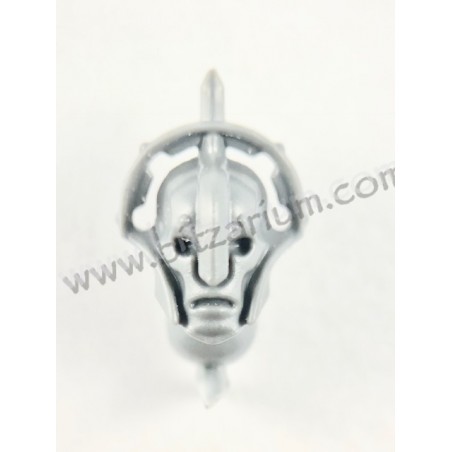 Head 5 - Protector