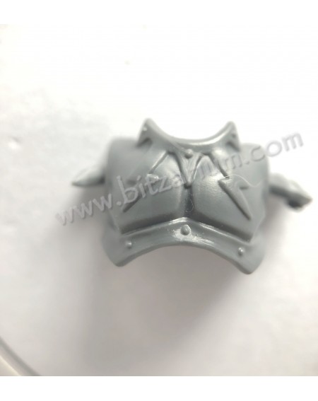 Front Torso - Paladins