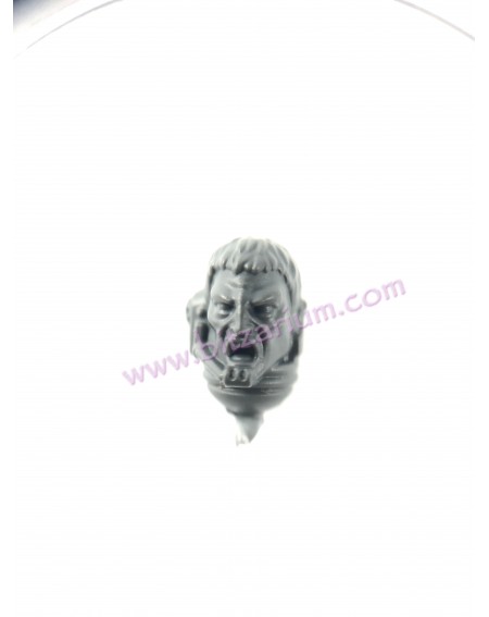 Head 2