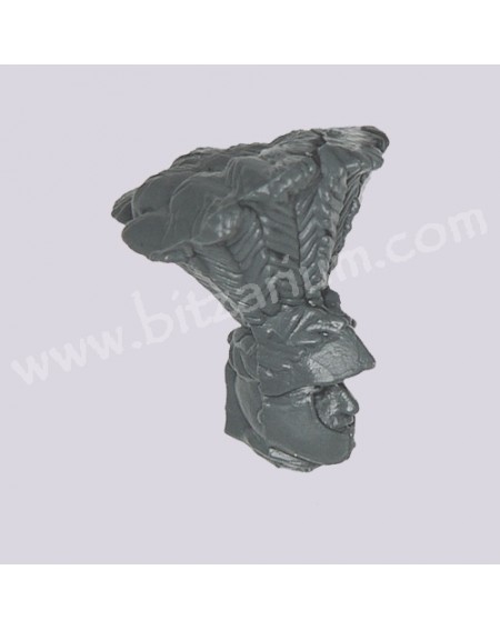 Head 5