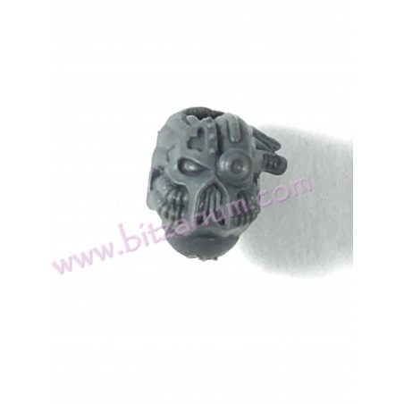 Head 6 - Havocs