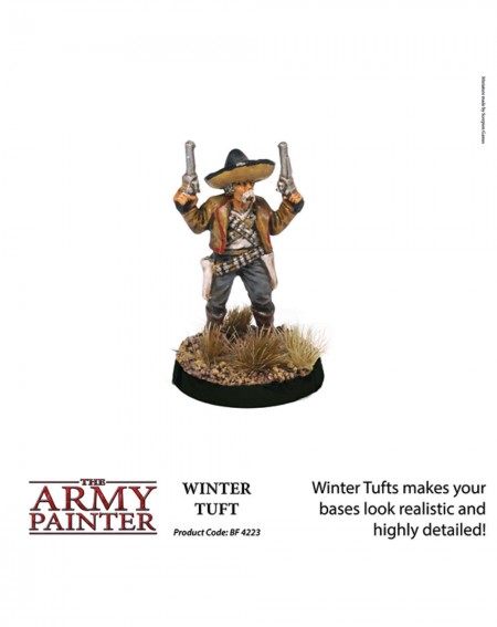 Touffes d'Hiver - Army Painter