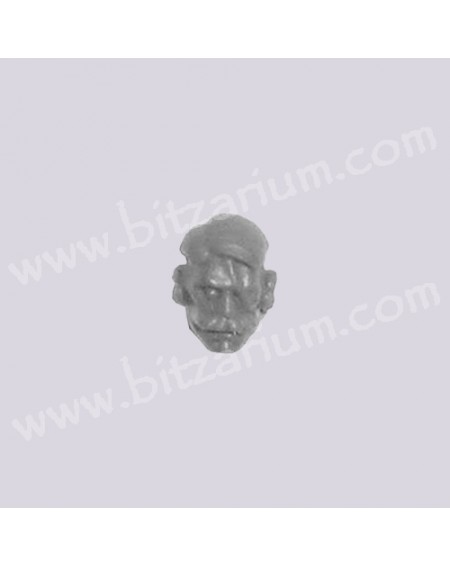 Head 8