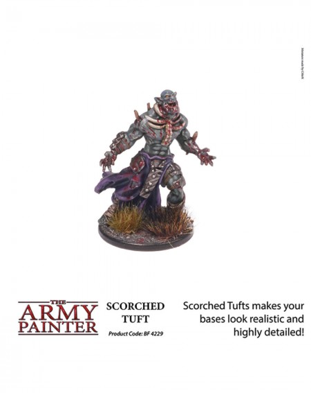Touffes Brûlées - Army Painter