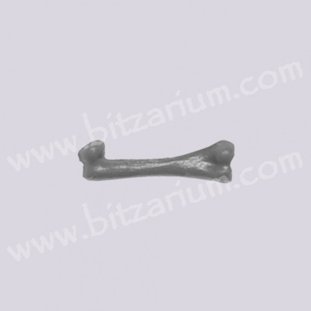 Bone