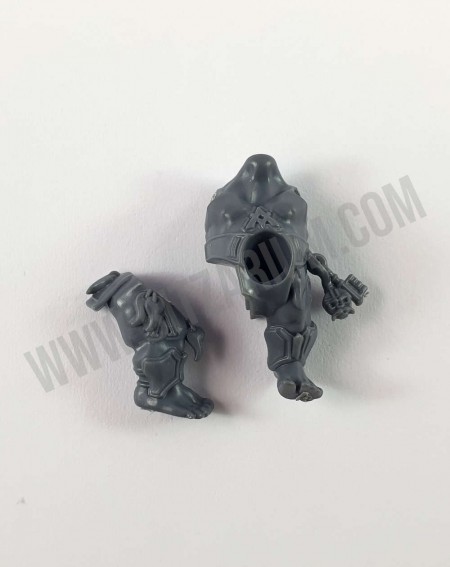 Corps 2 Hearthguard Berzerkers