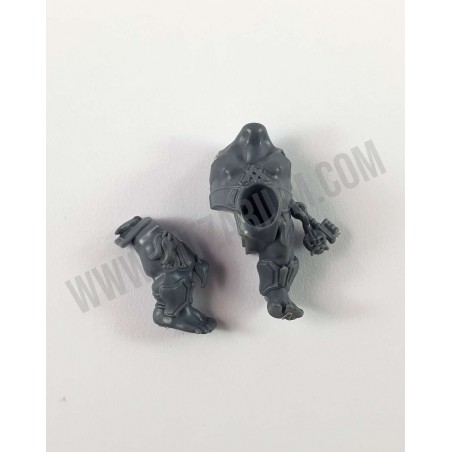 Corps 2 - Hearthguard Berzerkers