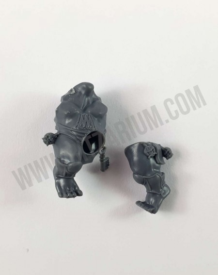 Corps 3 Hearthguard Berzerkers