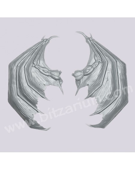 Paire d'ailes