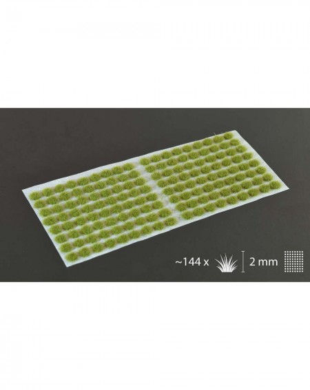 Bitzarium - Tufts Dry Green 2mm - Gamers Grass