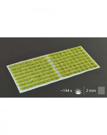 Bitzarium - Touffes Moss 2mm - Gamers Grass