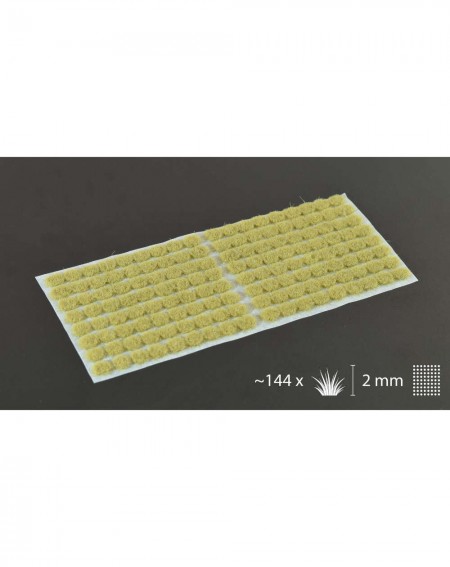 Bitzarium - Touffes Beige 2mm - Gamers Grass