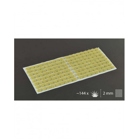Touffes Beige 2mm - Gamers Grass