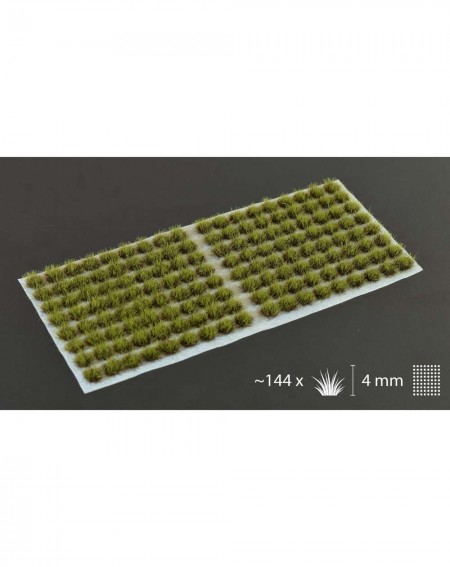 Bitzarium - Touffes Swamp 4mm - Gamers Grass