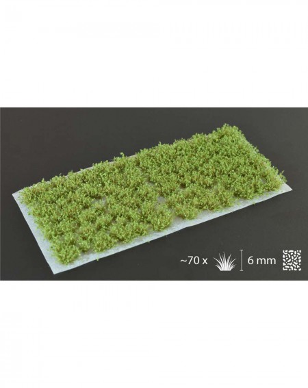 Bitzarium - Tufts Dark Green Shrubs - Gamers Grass