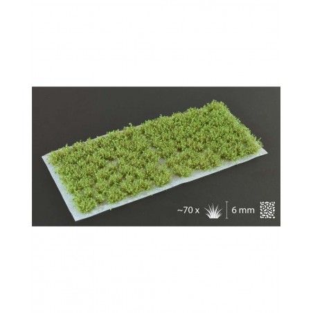 Touffes Dark Green Shrubs - Gamers Grass