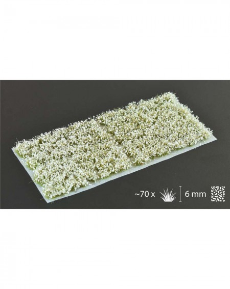 Bitzarium - Touffes White Flowers - Gamers Grass