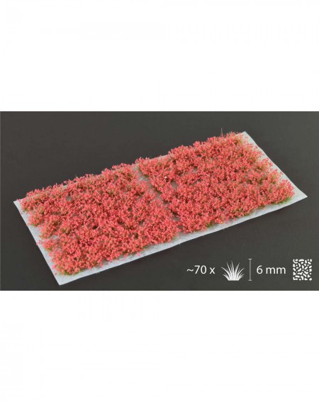 Bitzarium - Touffes Red Flowers - Gamers Grass