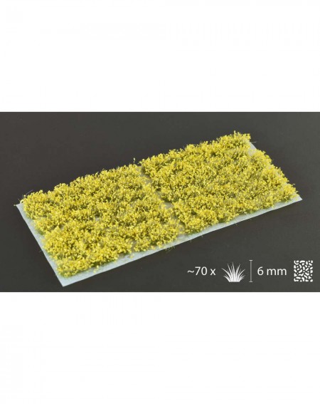 Bitzarium - Touffes Yellow Flowers - Gamers Grass